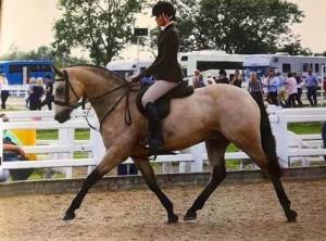 Gwennic de Goariva progeny