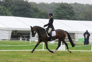 Gwennic de Goariva progeny