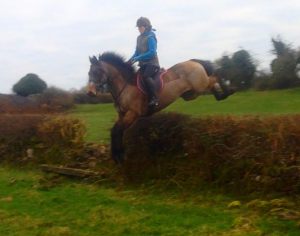 Gwennic de Goariva progeny