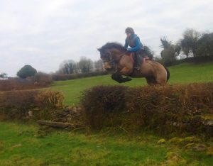 Gwennic de Goariva progeny