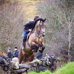 Gwennic de Goariva progeny