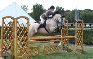 Gwennic de Goariva progeny