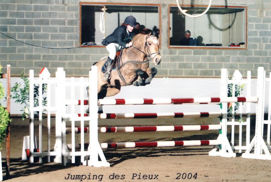 Gwennic de Goariva connemara pony stallion jumping in the French Grand Prix