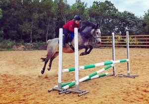 Gwennic de Goariva progeny