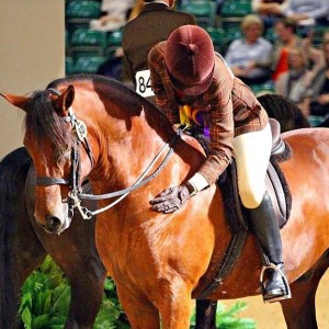 Gwennic de Goariva progeny