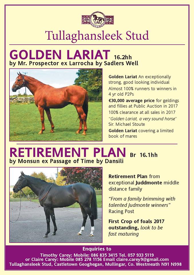 Golden Lariat and Retirement Plan Stud Card