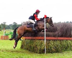 Gwennic de Goariva progeny