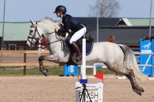 Gwennic de Goariva progeny