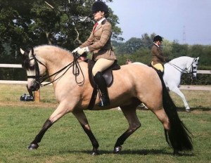 Gwennic de Goariva progeny