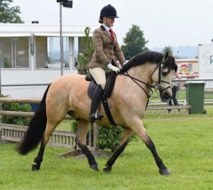 Gwennic de Goariva progeny