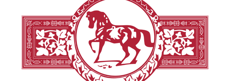 Tullaghansleek Stud LOGO