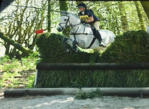 Gwennic de Goariva progeny