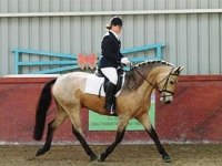 Coleman: A review by Susi&nbsp;Hirisch