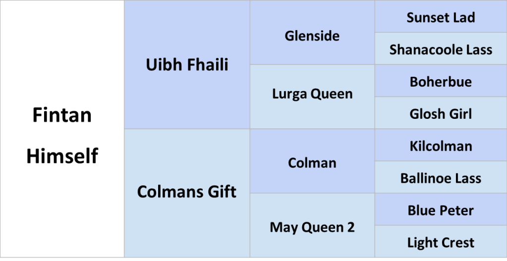 Fintan Himself Irish Draught Stallion Pedigree Chart
