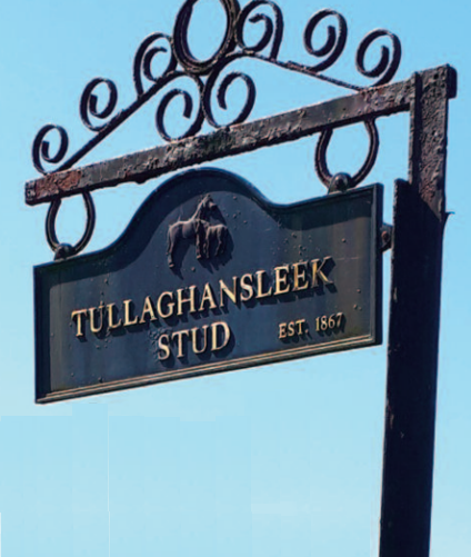 Tullaghansleek Stud Entrance Sign