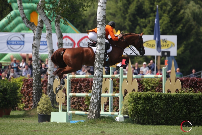 Another Pleasure Stallion