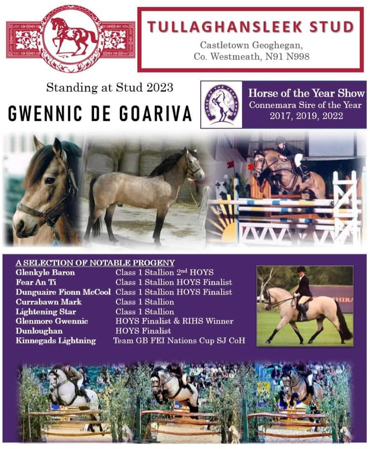 Gwennic de Goariva Stud&nbsp;Card