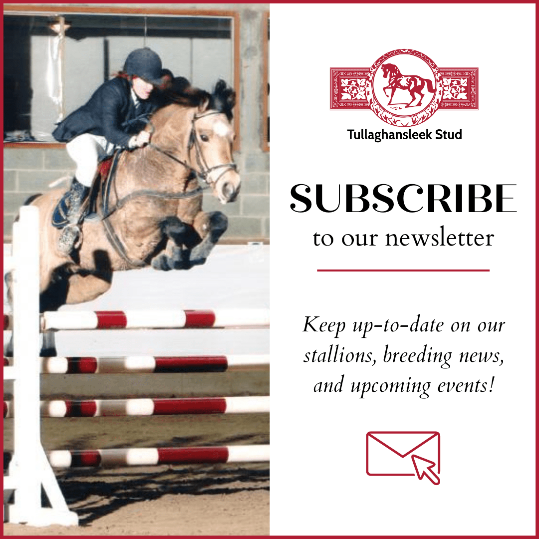 Subscribe to our&nbsp;newsletter!