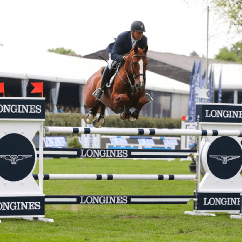 Another Pleasure Stallion