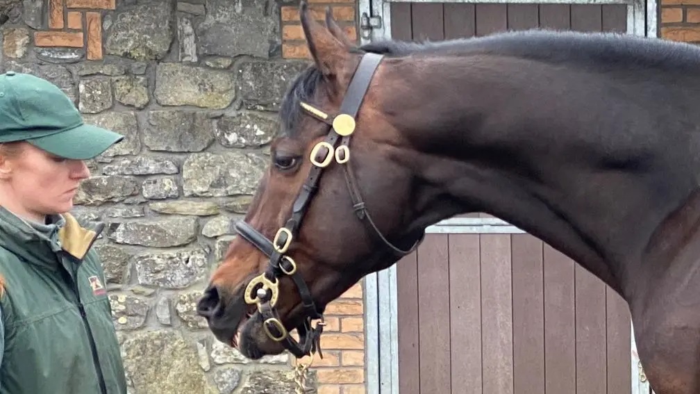 Valirann Article – Racing&nbsp;Post