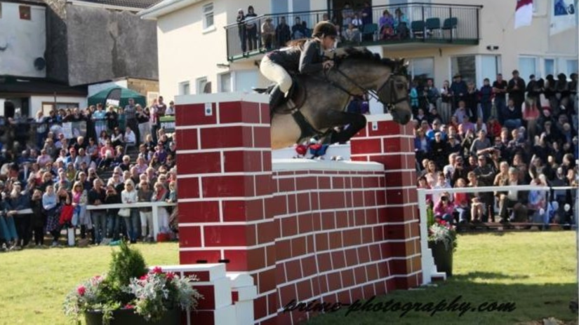 Carnabay Mirah - Connemara Pony Stallion
