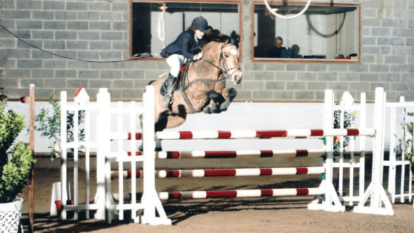 Gwennic de Goariva - Connemara Pony Stallion