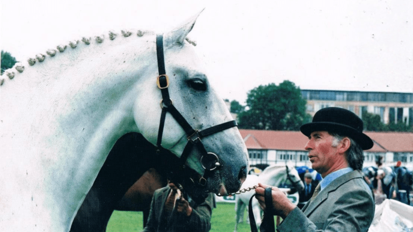 Star Kingdom - RID Stallion