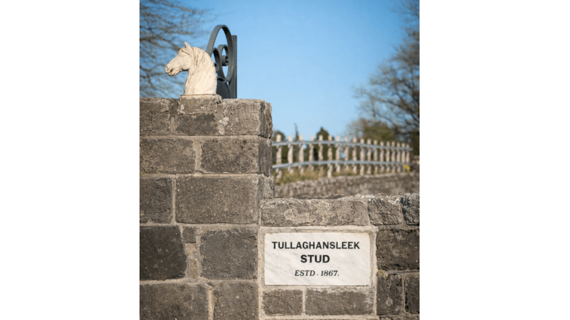 Tullaghansleek Stud Entrance
