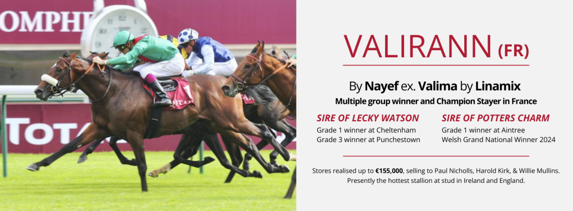 Tullaghansleek Stud Website Homepage